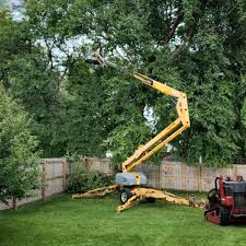 Best Tree Trimming and Pruning  in Hammond, LA